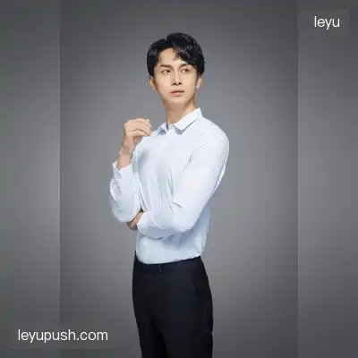 武正